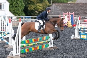 Class 6 - Fences not above 2'9